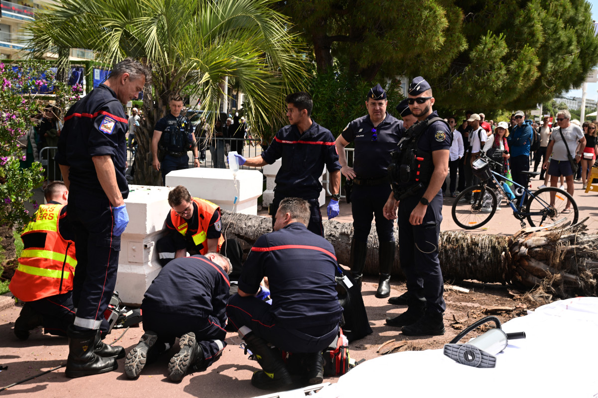 Hollywood Agent Injured By Falling Palm Tree At Cannes Film Festival Falling Palm Tree Strikes Talent Agent at Cannes
