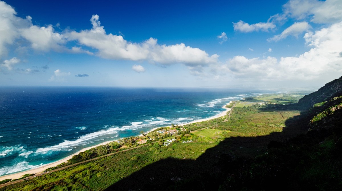12 People Diagnosed With Dengue Fever in Hawaii. What It Means
