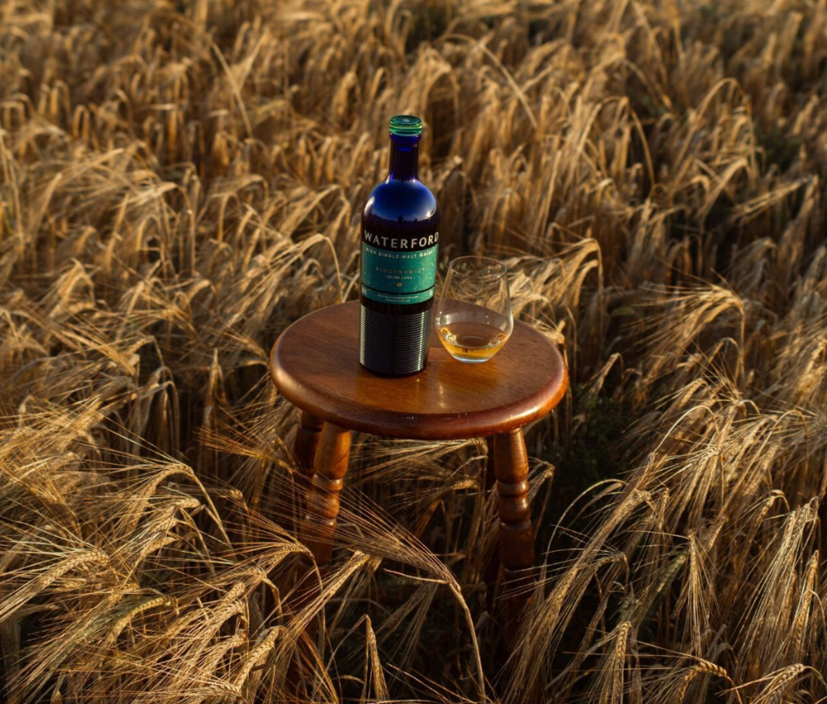 Waterford Whisky bottle on a stool in a field of barley.
