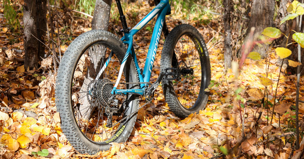 The Cannondale Beast of the East may be the bike of your