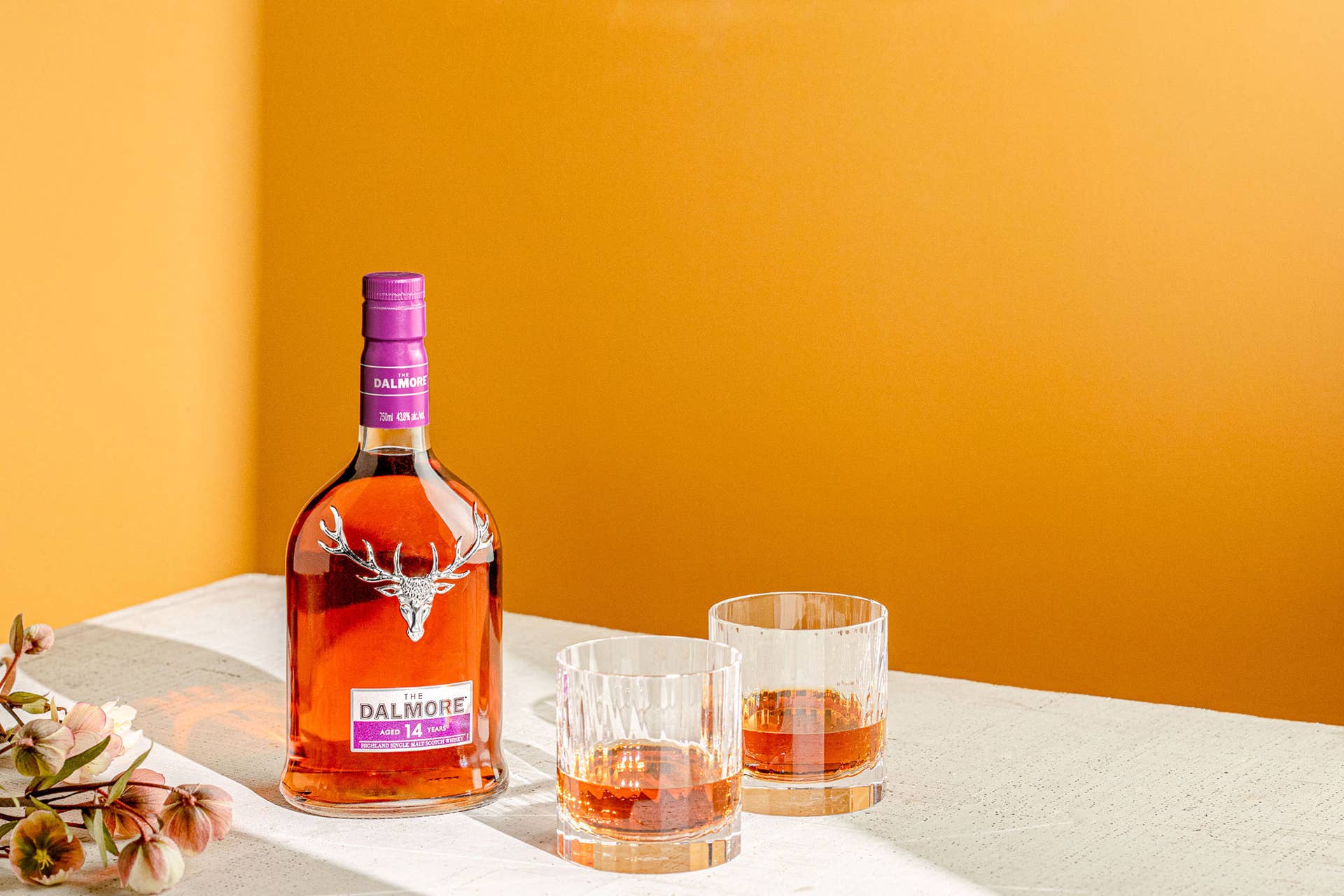 dalmore.jpg