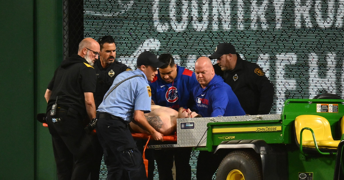 Fan Who Fell 21 Feet at MLB Game Shares Health Update
