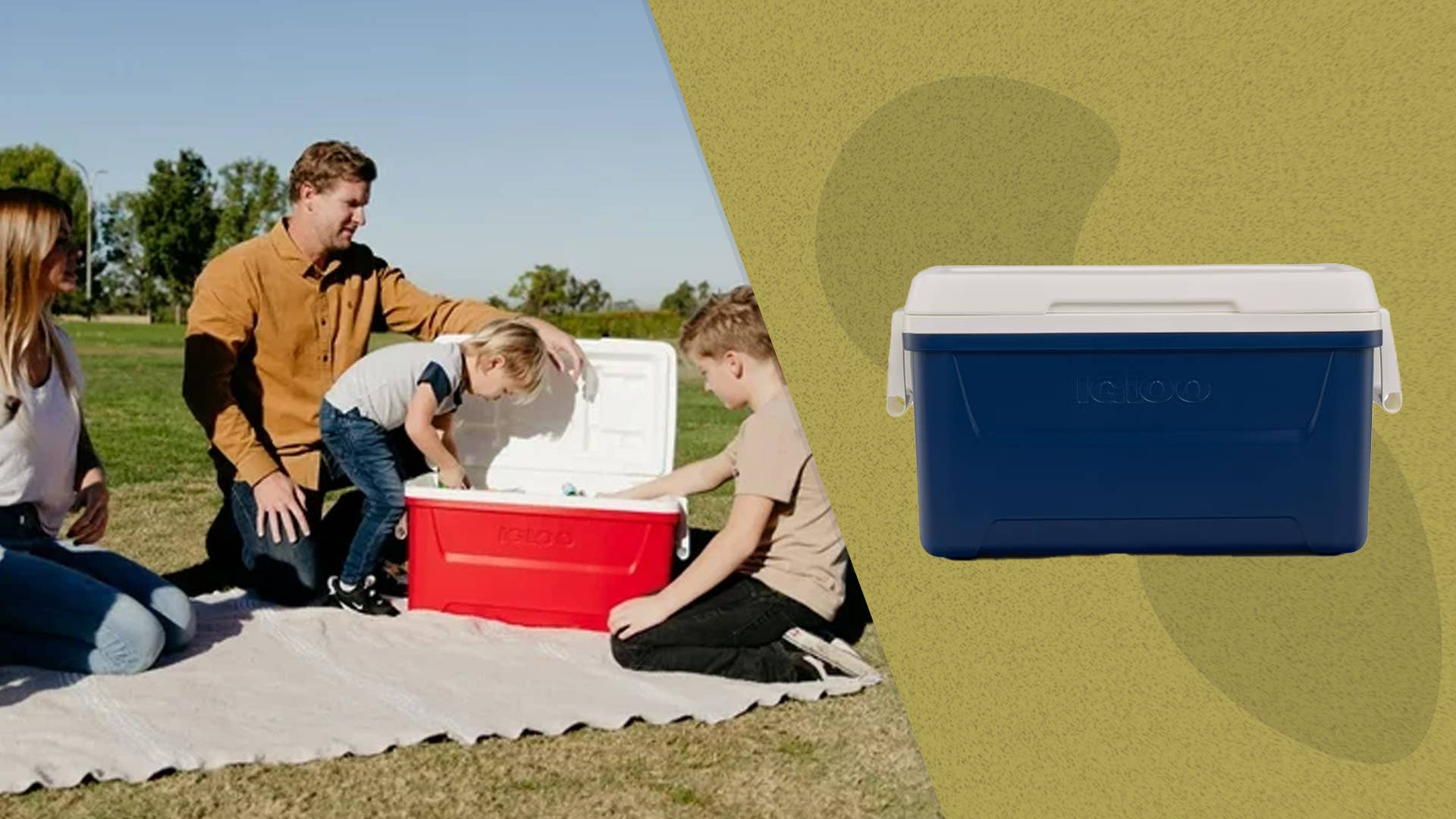 Koelbox Igloo Laguna 28 Roller Red