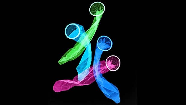 The Best Condoms, According to Science - Men's Journal