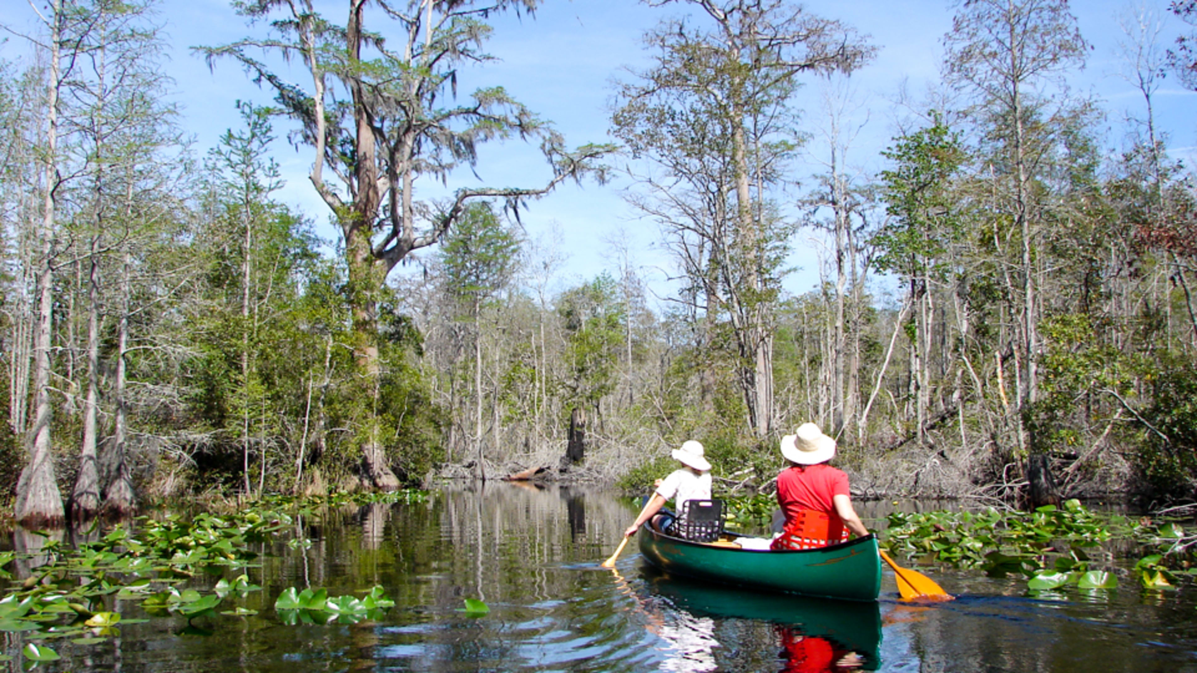 Meet a Water Trail: Georgia's Okefenokee Wilderness Canoe Trails - Men's Journal