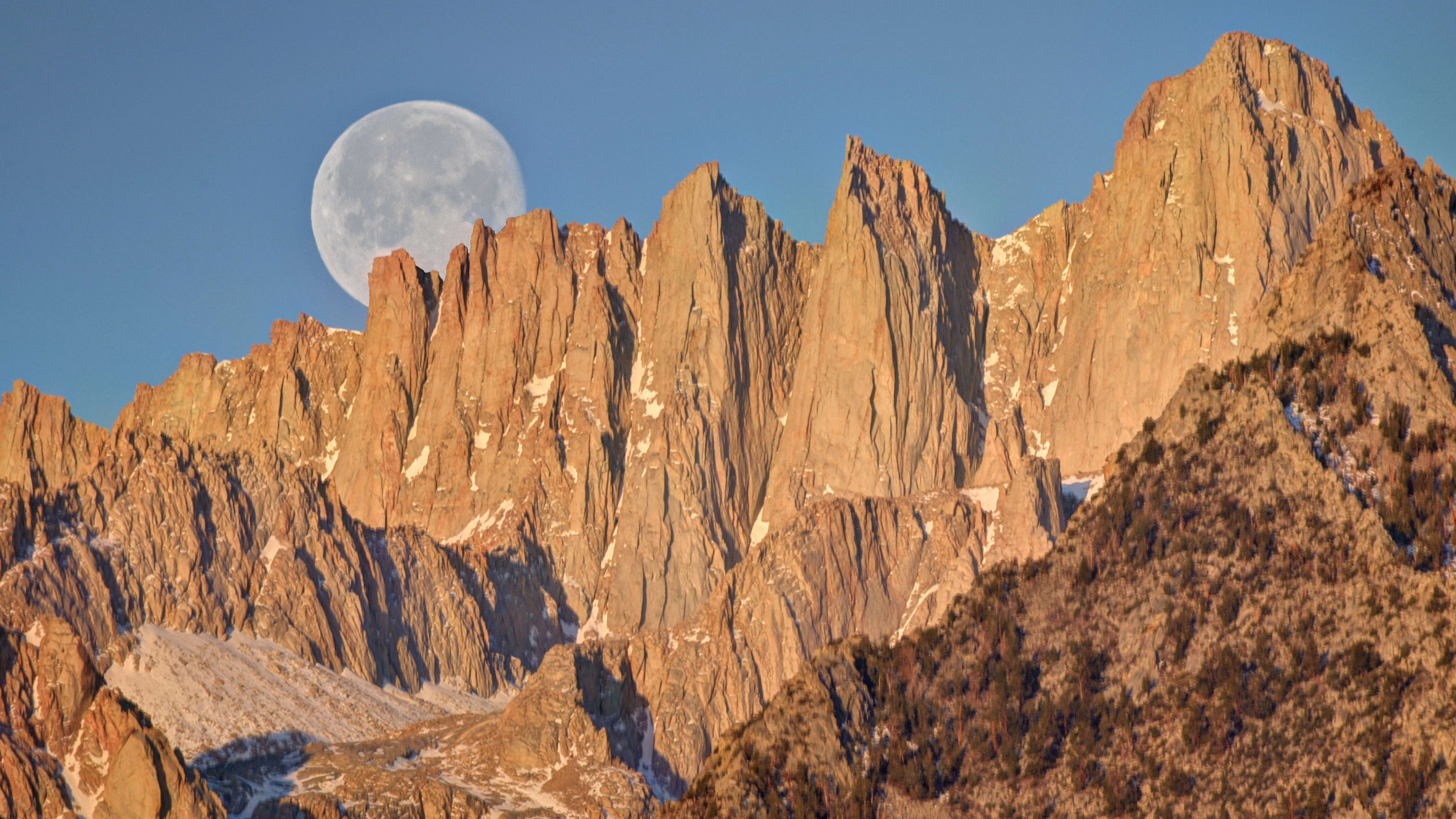 Boy, 14, in MedicallyInduced Coma After Hallucinating, Walking Off