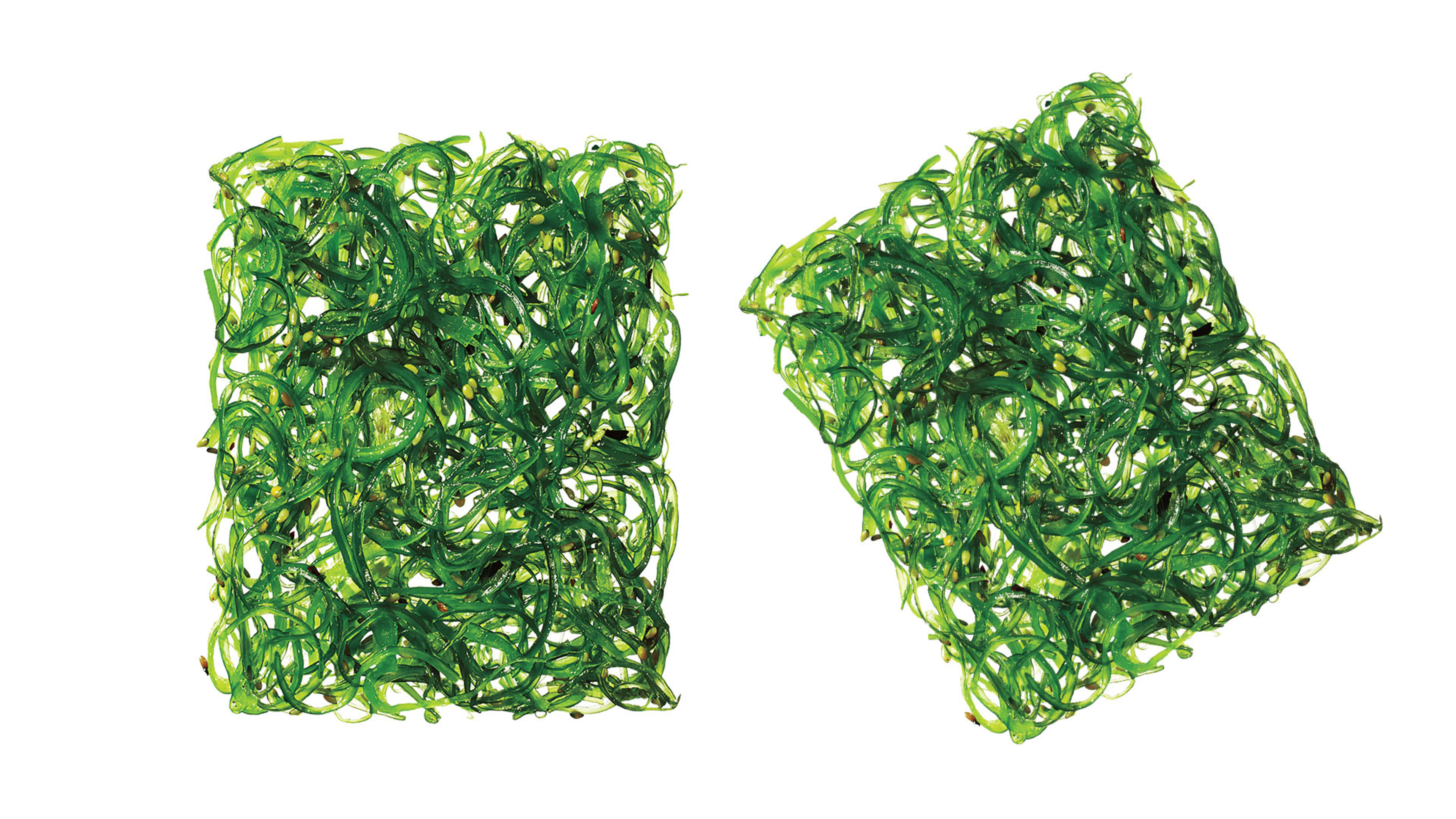 how-kelp-benefits-hunger-climate-change-future-of-food-men-s-journal