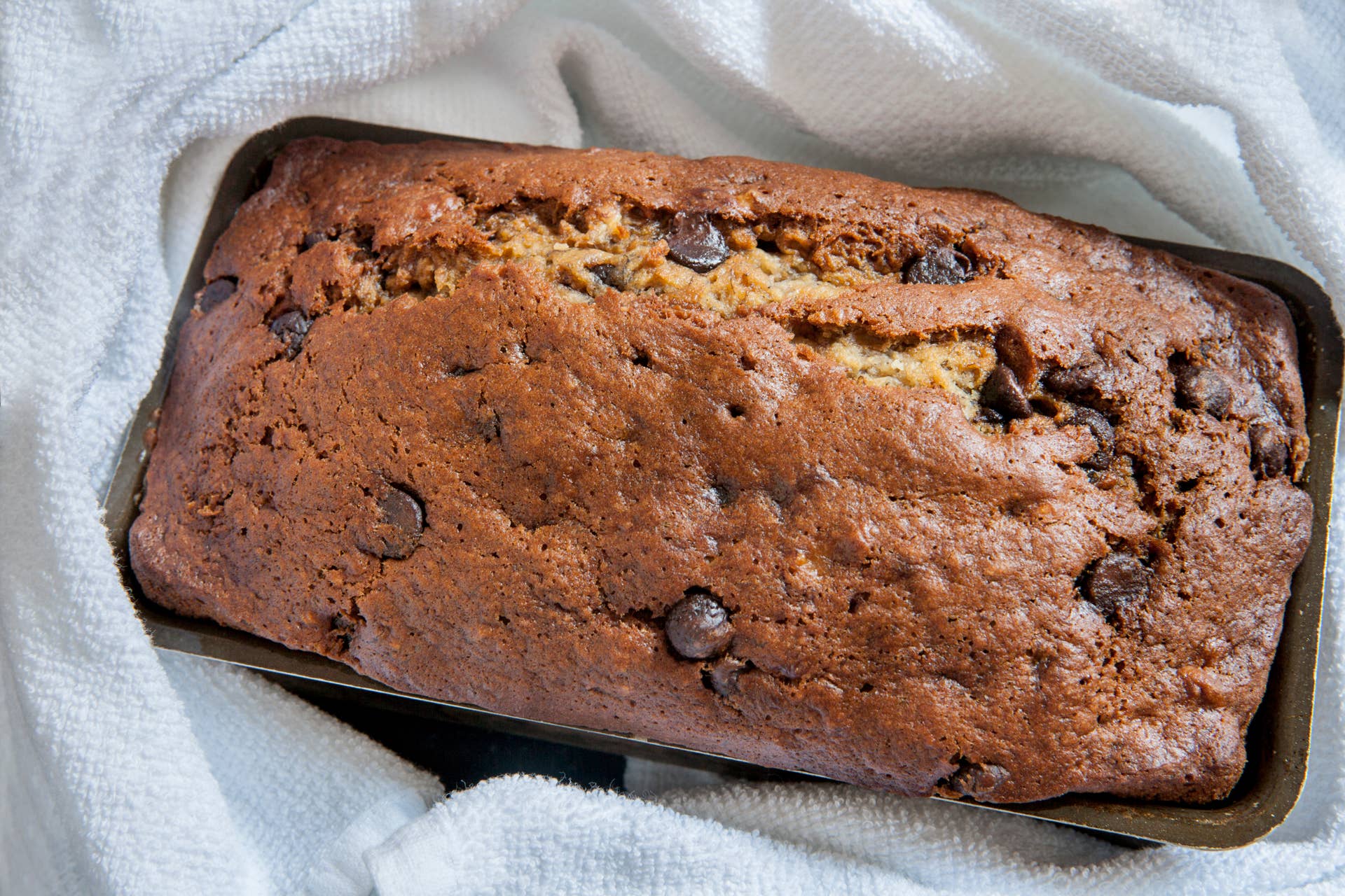 Can Dogs Get Poisoned By Banana Bread photo