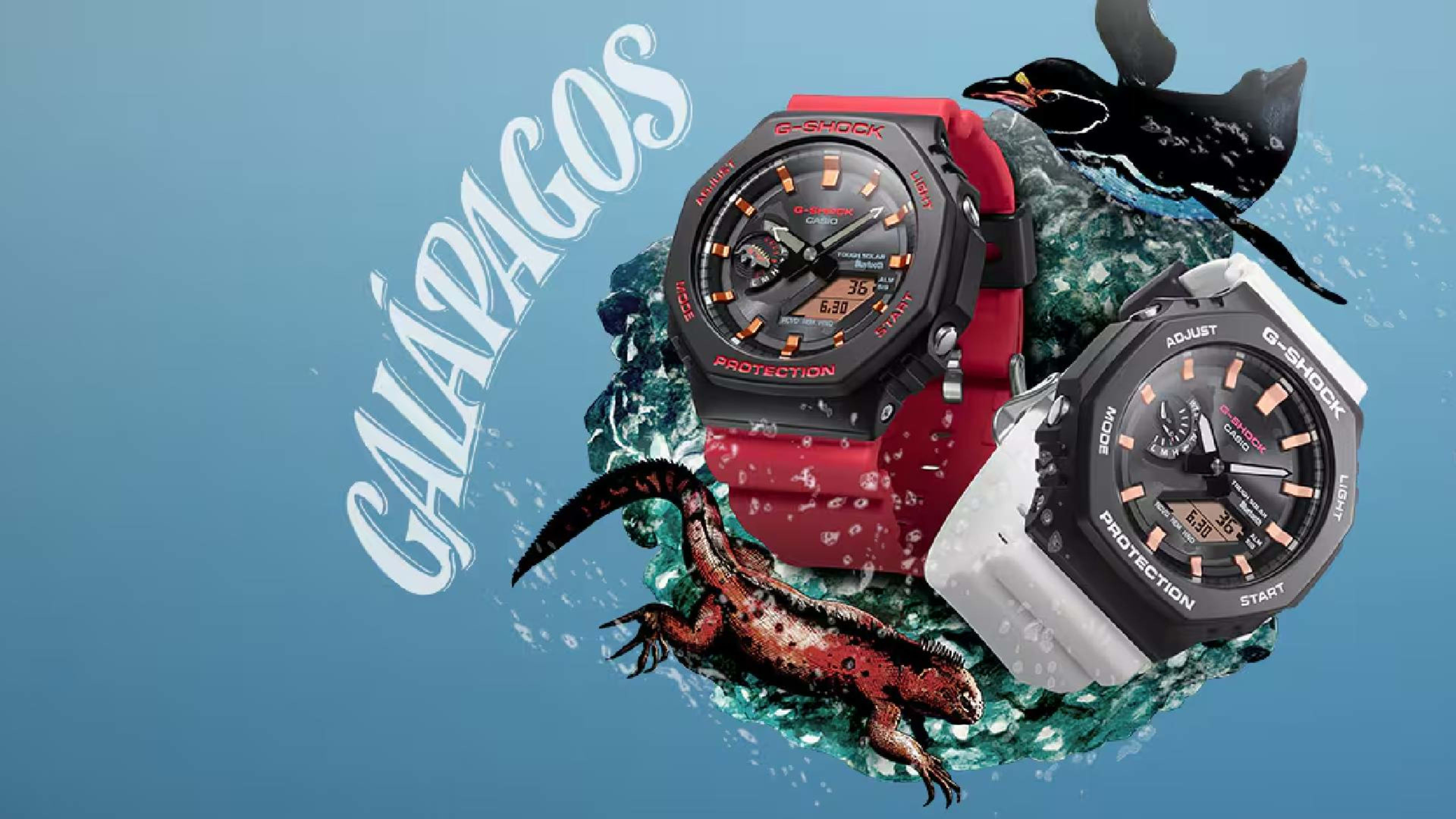 G-SHOCK X Charles Darwin Foundation Galapagos Watches - Men's Journal
