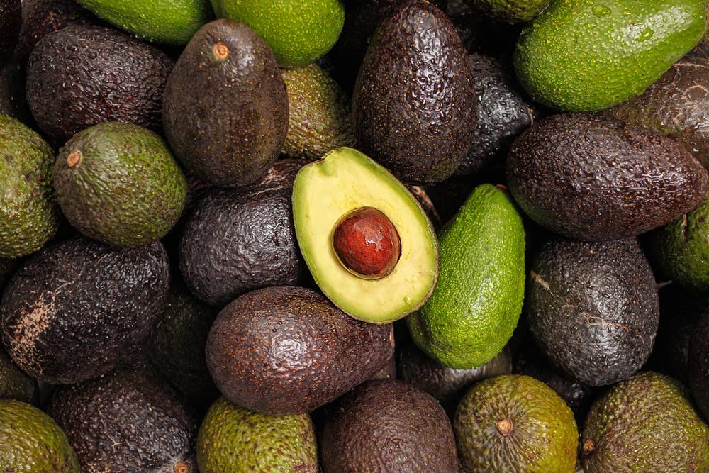 This Avocado Seed Drink Rivals Green Tea's Antioxidants - Men's Journal