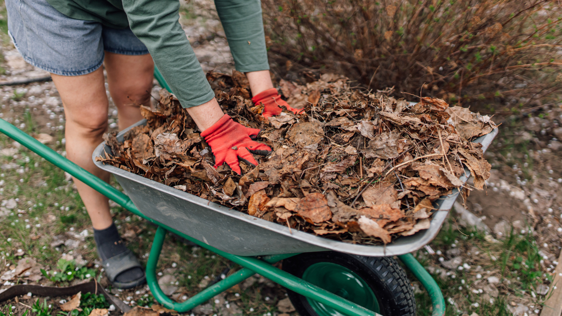 How to Mulch Fallen Leaves and Benefits of Leaf Mulch - Men's Journal