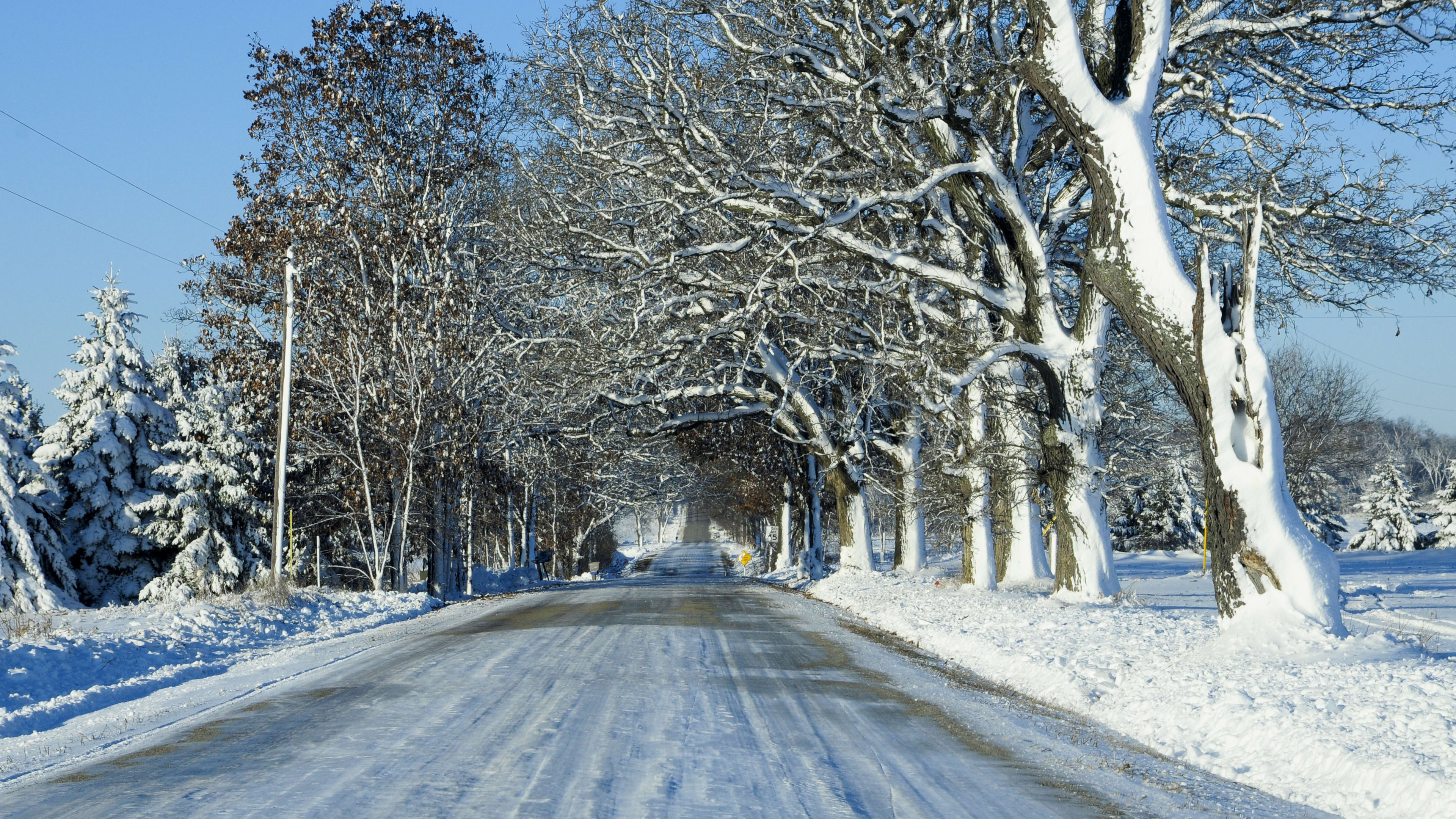 Exploding Trees? Midwesterners Receive Extreme Cold Watch Warnings ...