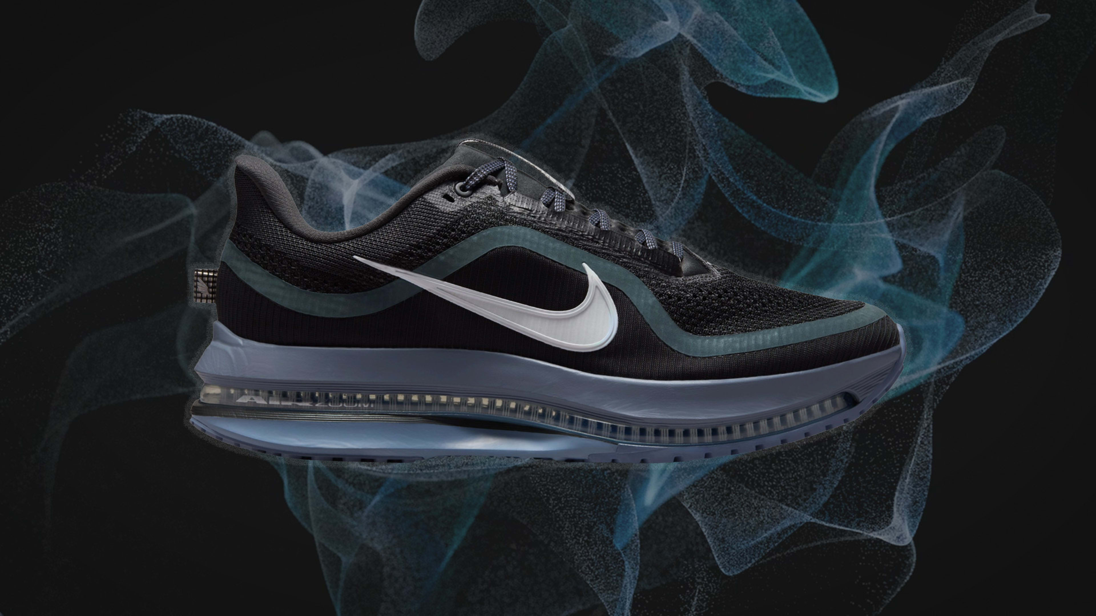 dicks sporting goods nike pegasus