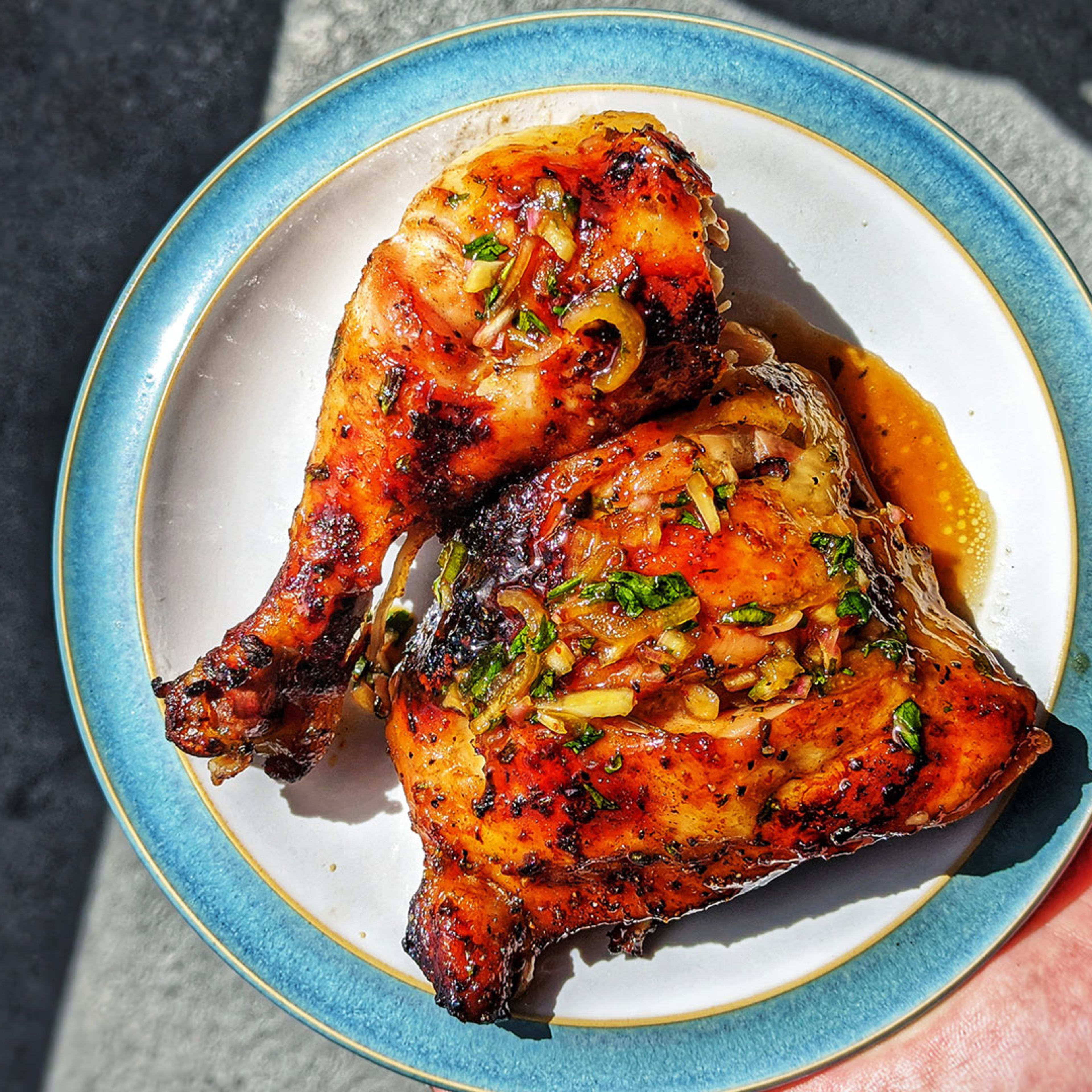 Caucasian man's hand holding plate of grilled chicken wing and thigh