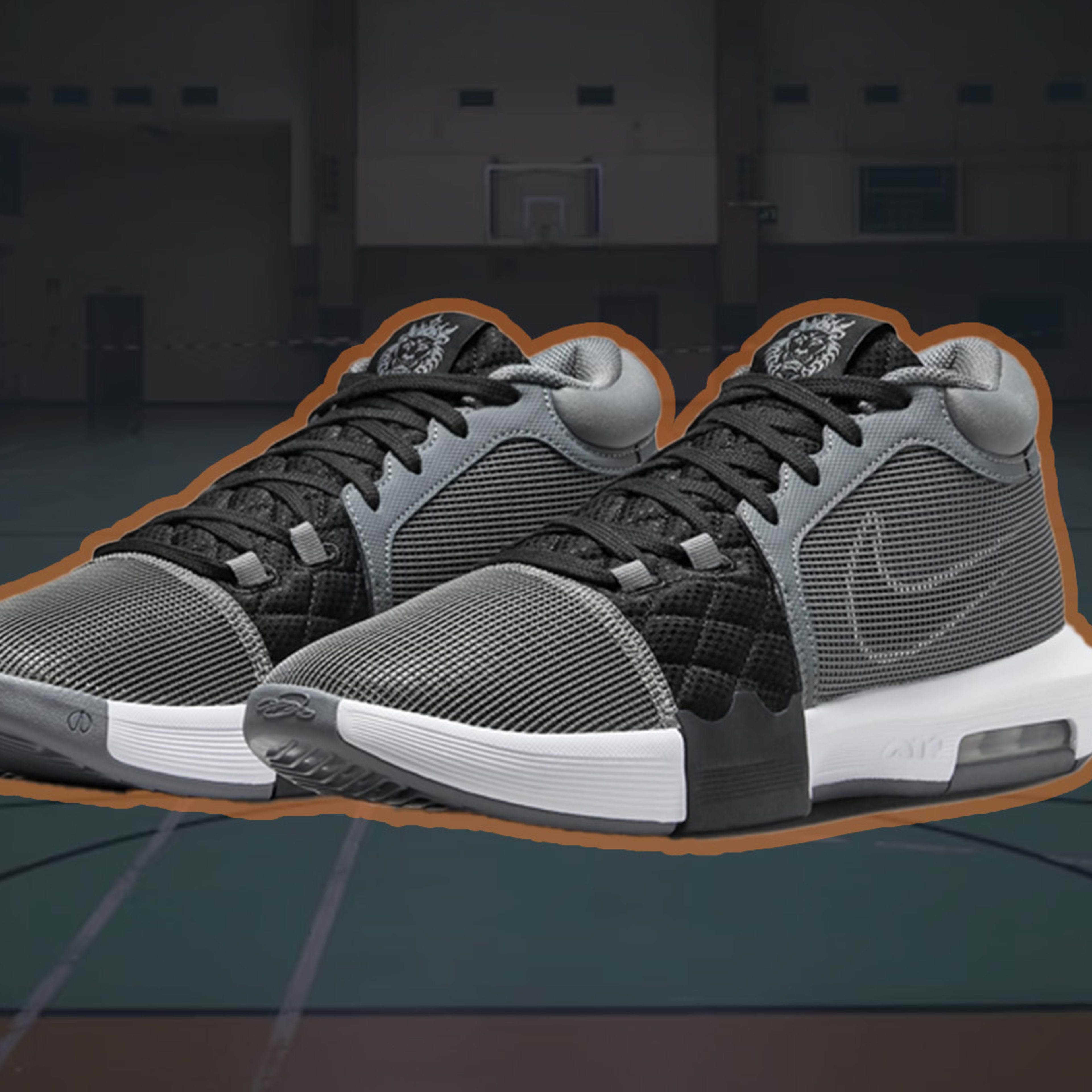 dicks nike volleyball shoes