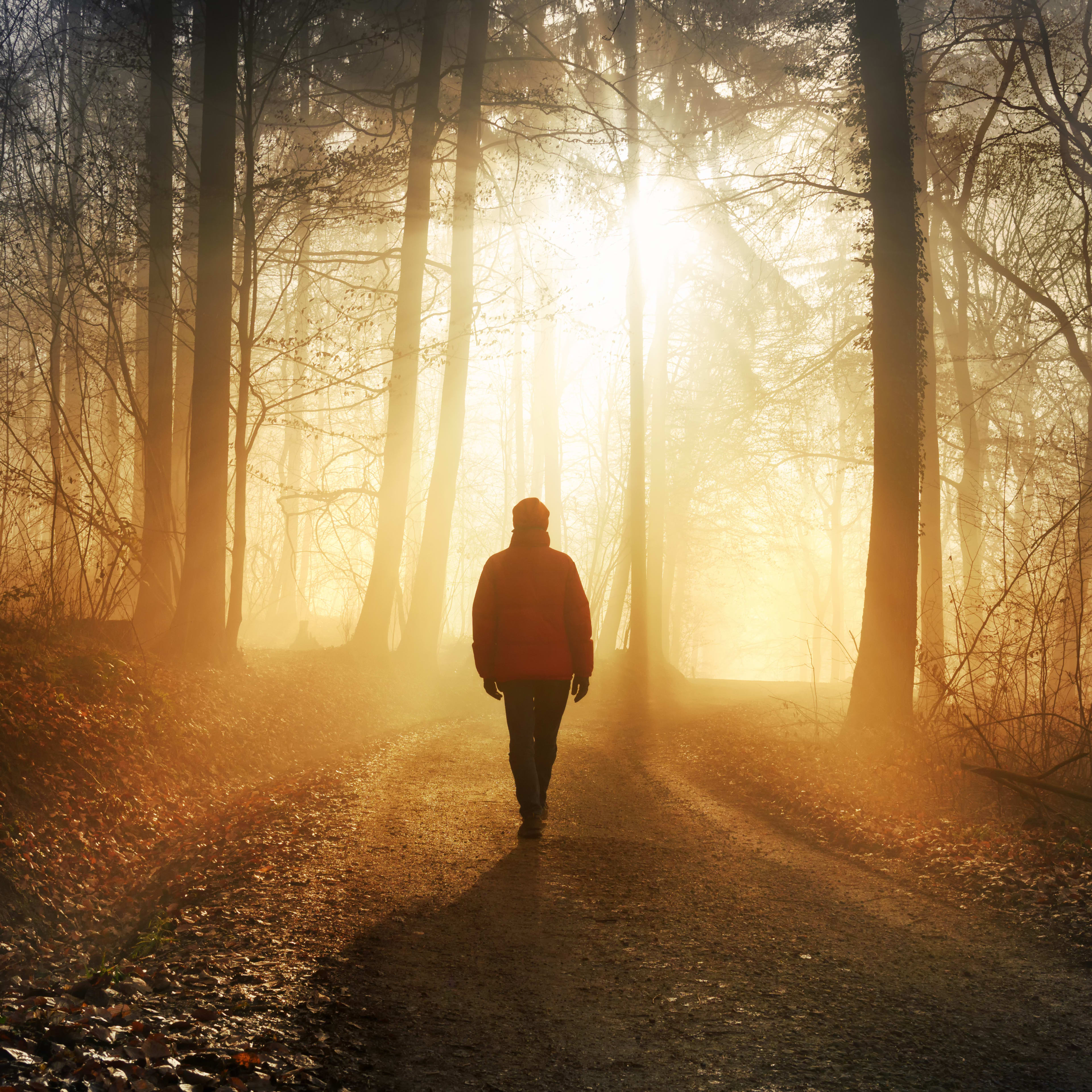 Biohacking Expert Shares His Surprisingly Accessible Morning Routine for Peak Performance