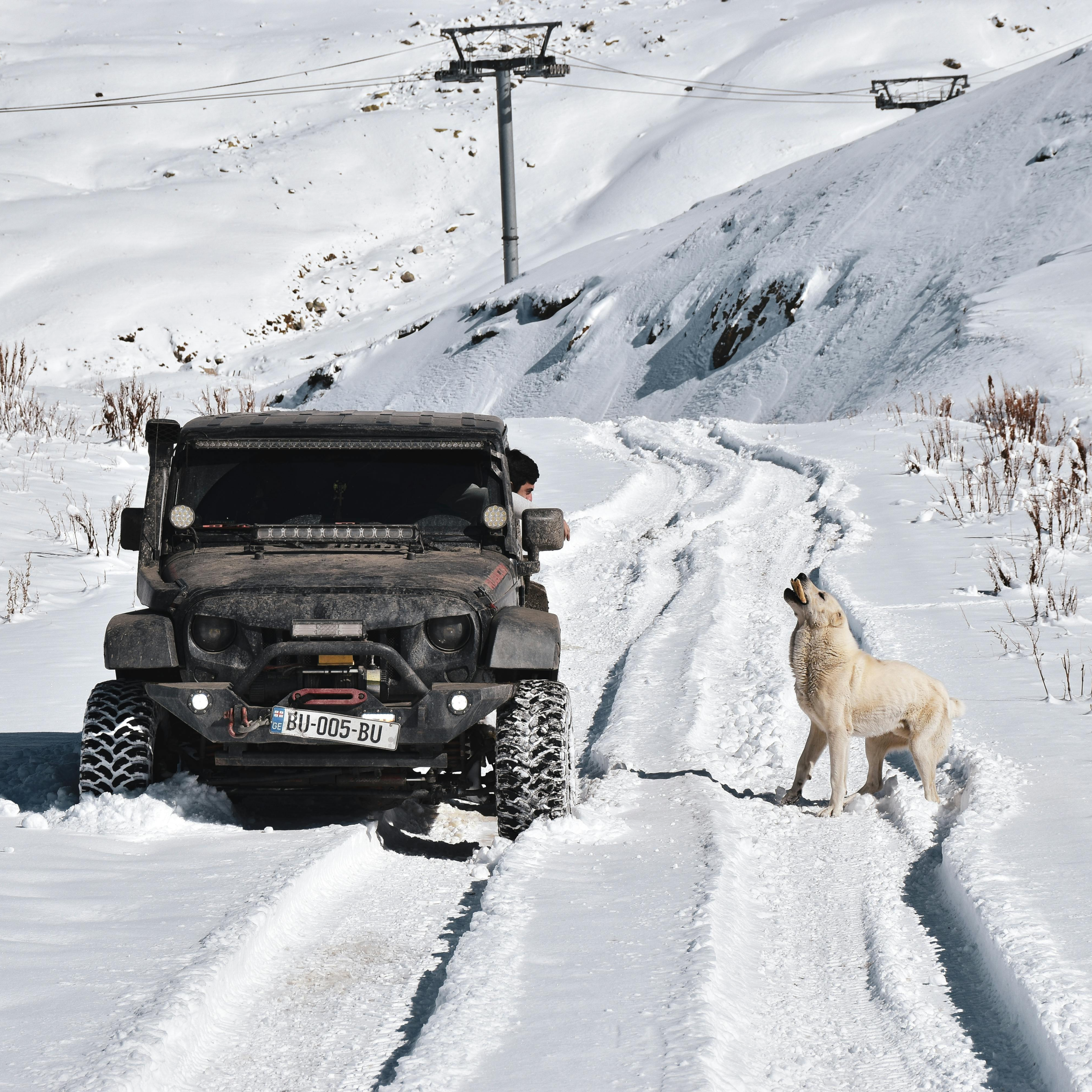 police-issue-disturbing-update-regarding-missing-virginia-football