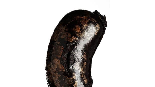 Show Me Pictures Of Men's Penises
