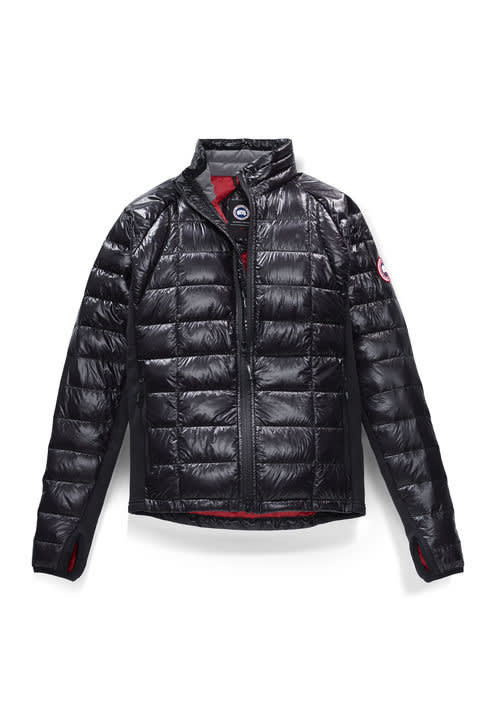 Canada goose 4d68a022 1f0d 4899 b516 00f6191251e5