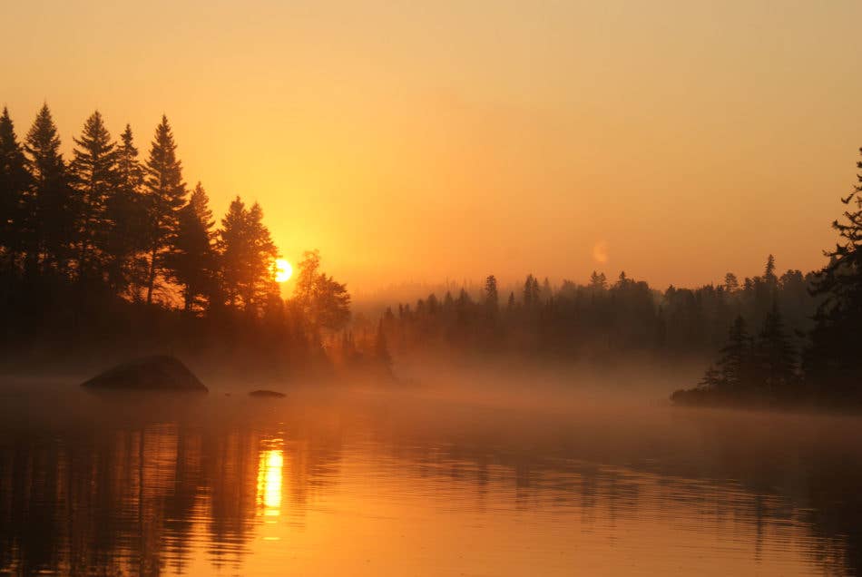 Wolf-Morning-e1517254120527