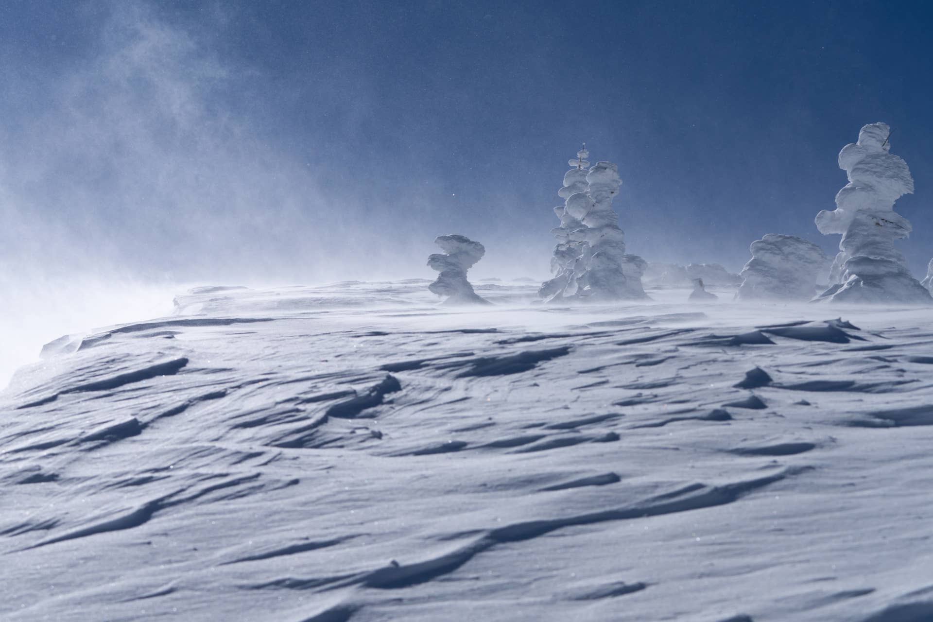 Winter Storm Warnings Slam 15 States With 60 MPH Winds, 10 Inches Snow ...