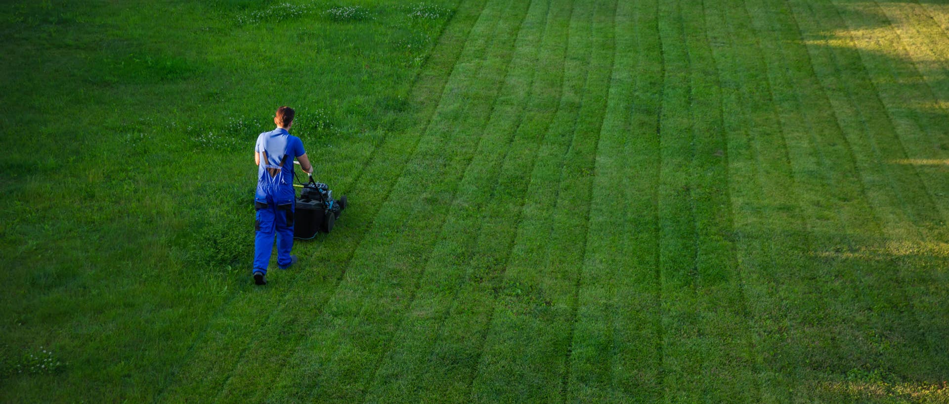 The First Lawn Cut of Spring Can Make or Break Your Grass - Men's Journal