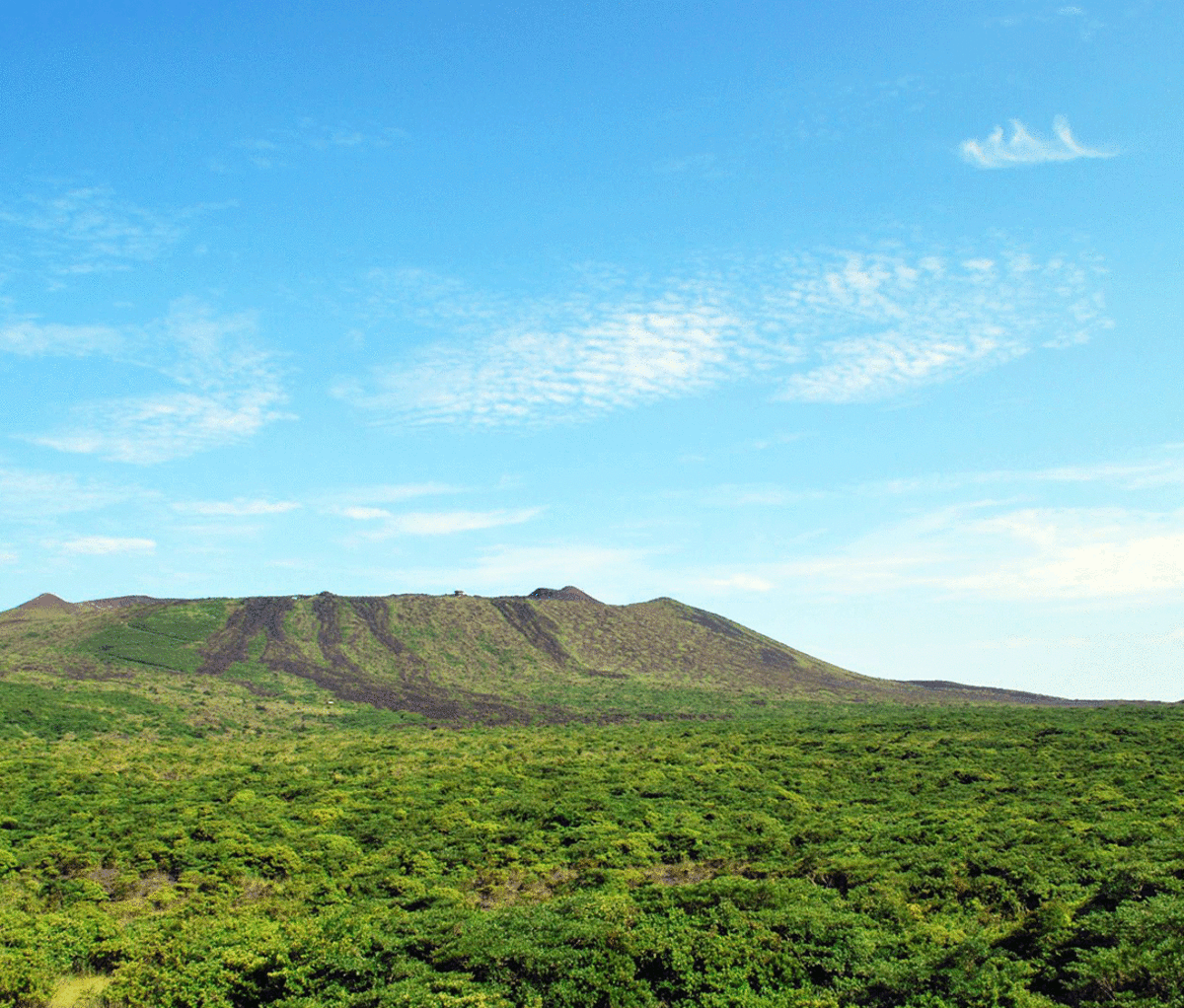 Mt. Mihara in Tokyo