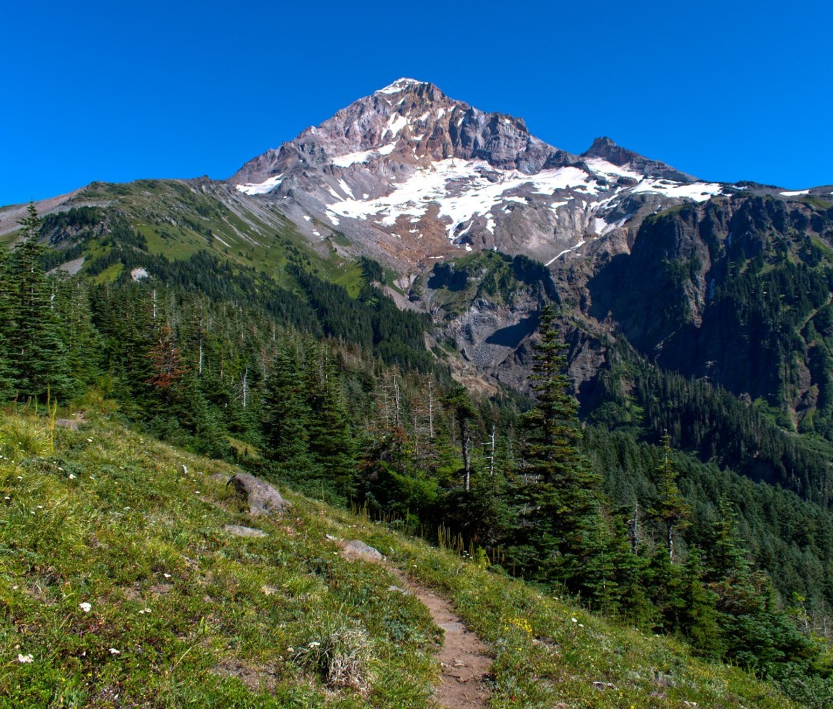 Timberline Trail in Oregon
