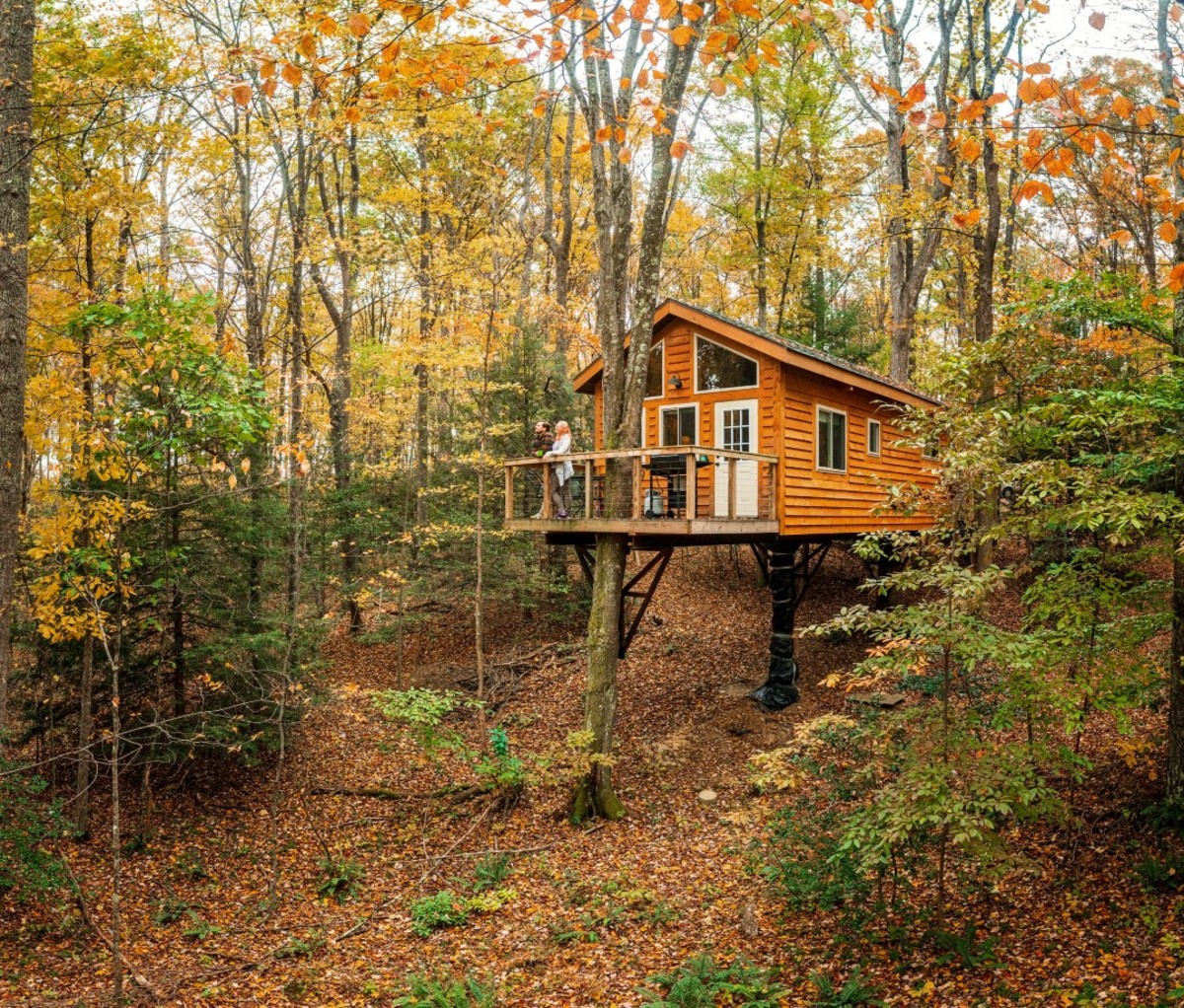 Elevated cabin in the woods