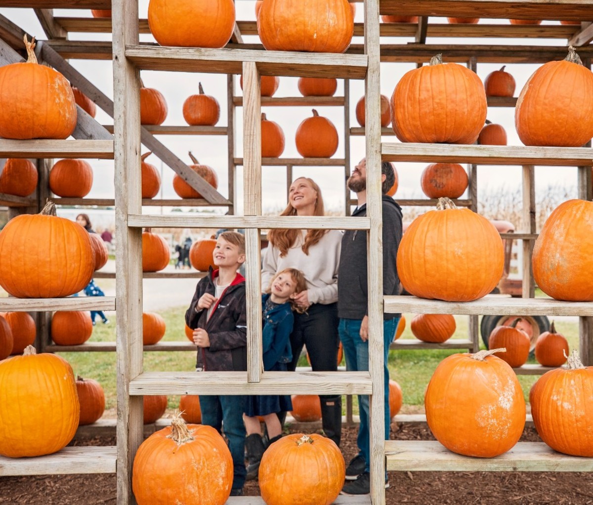 West Virginia Pumpkin Festival