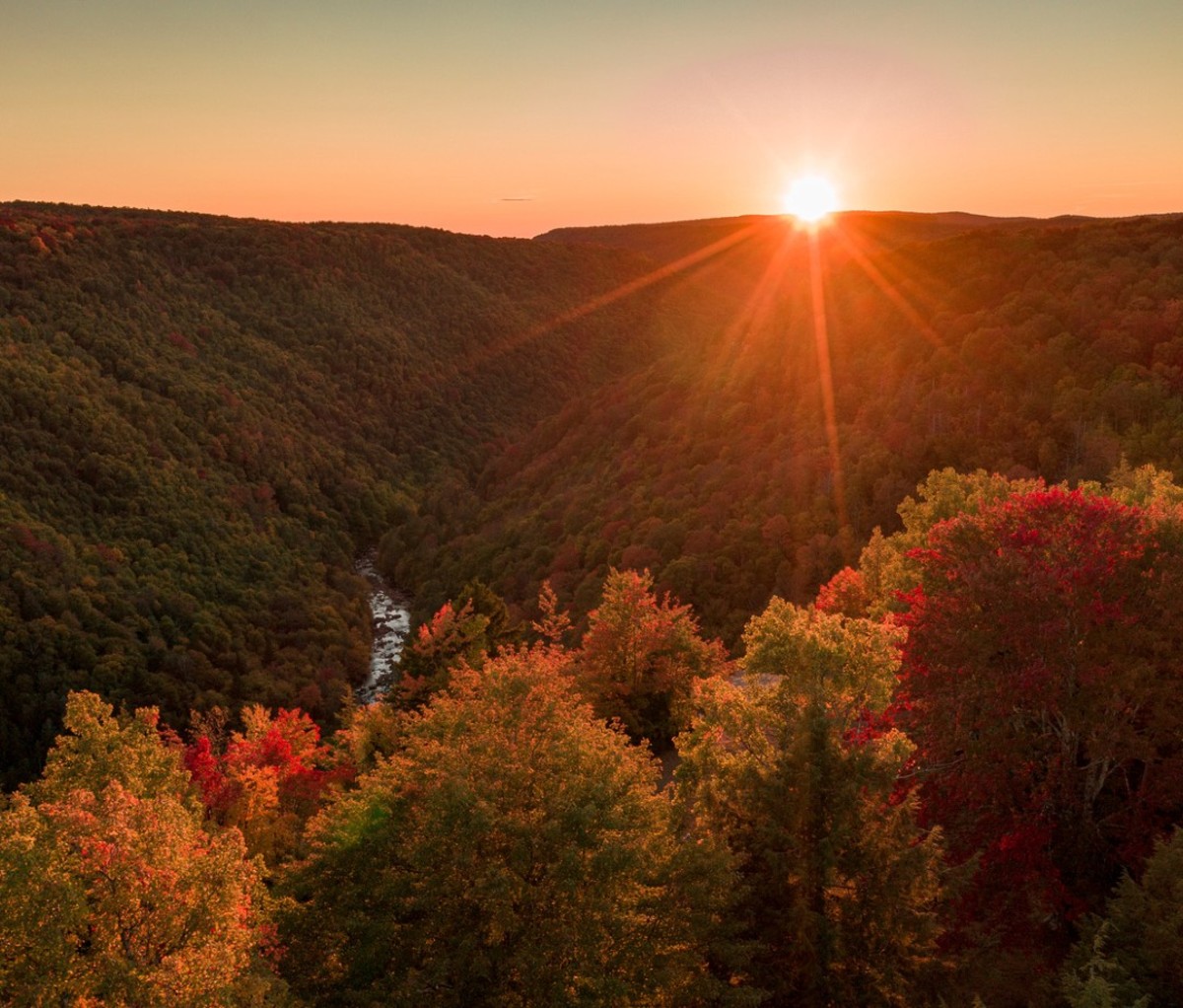 Blackwater Falls