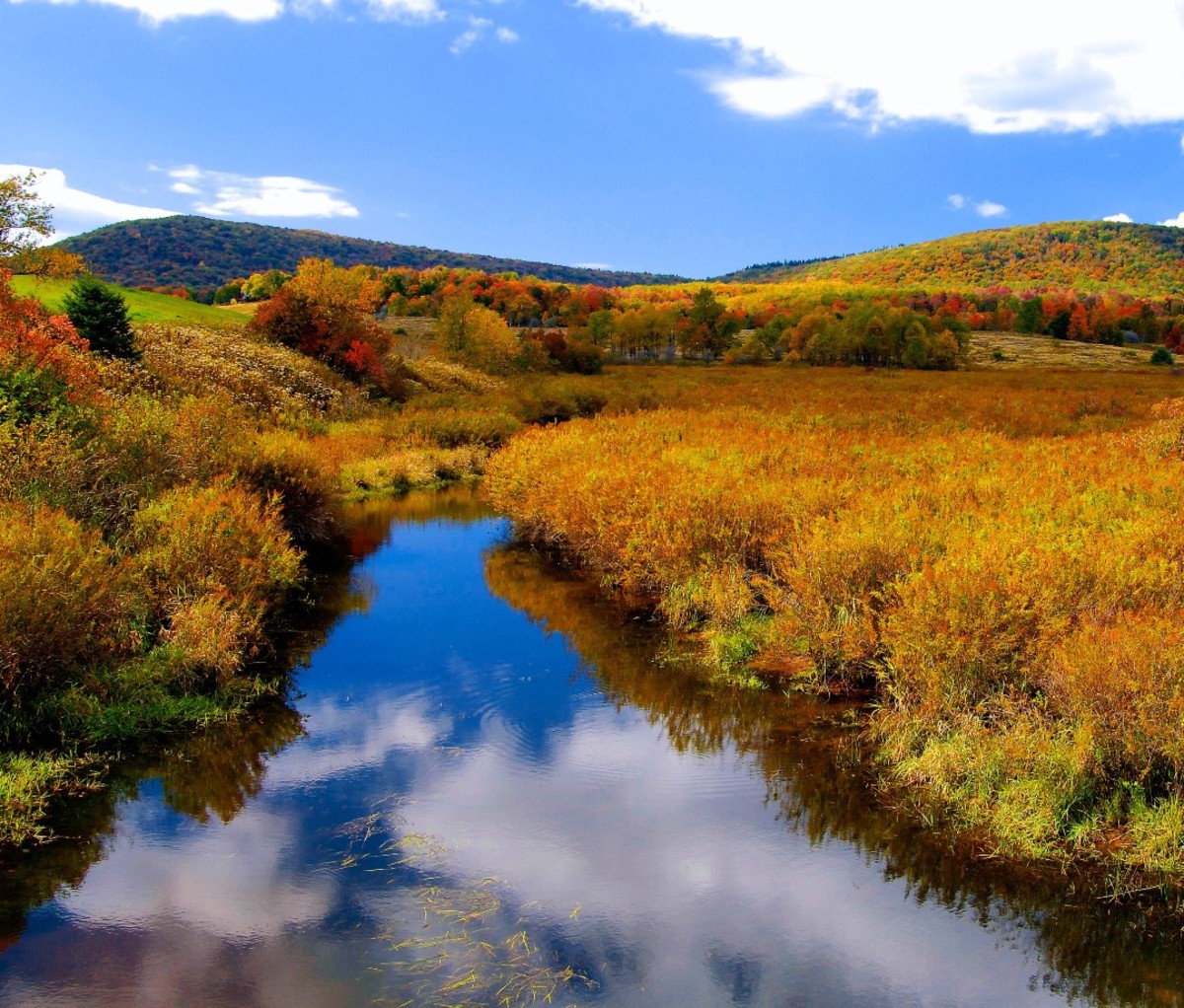 River with fall foliage