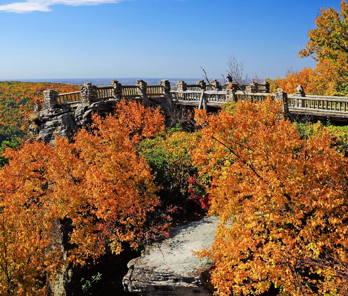 Fall foliage