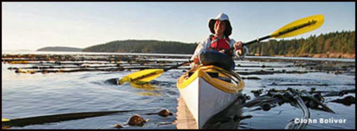 start_paddling_john_bolivar_art400
