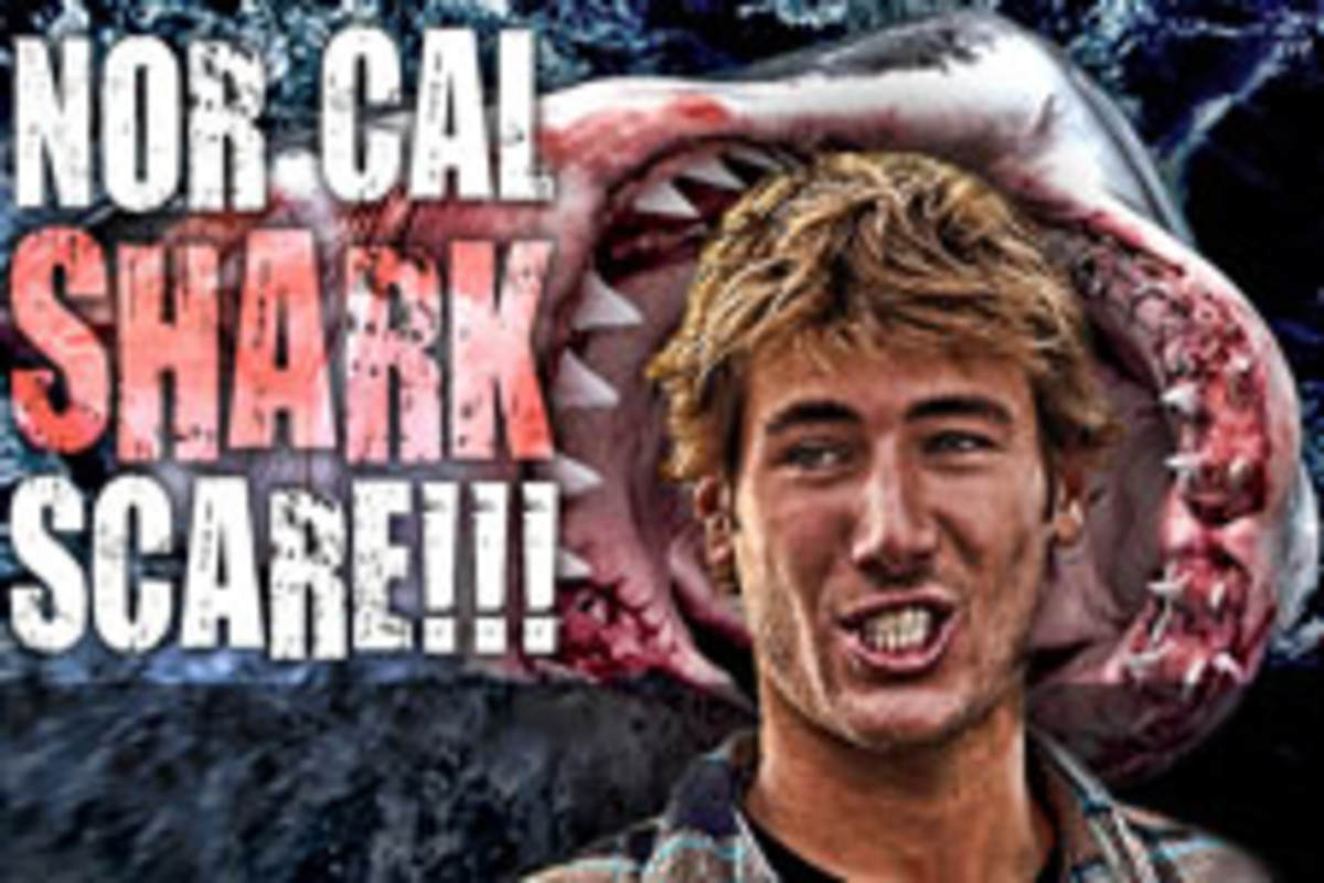 erig geiselman shark scare erig geiselman shark scare