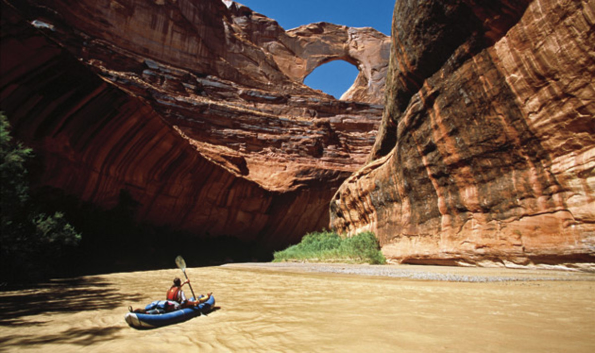 seldom-seen-floats-p