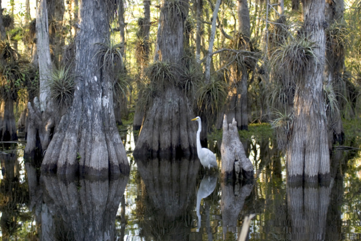 Photo courtesy of National Park Service.