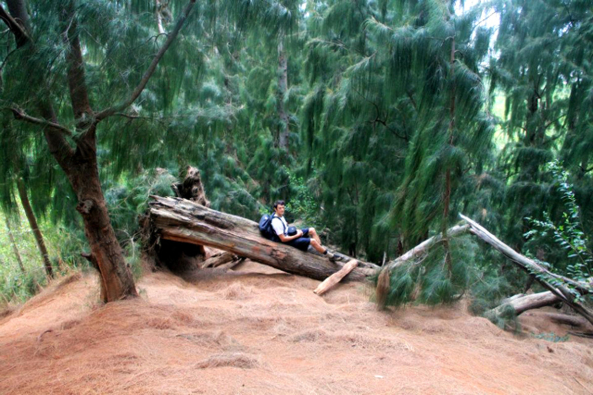 Olomana