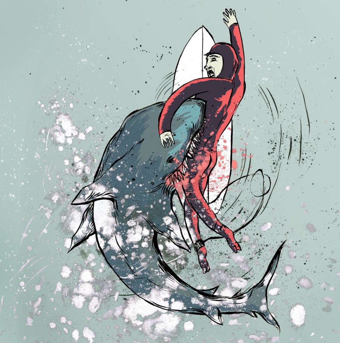 Scott Stephens Shark Attack