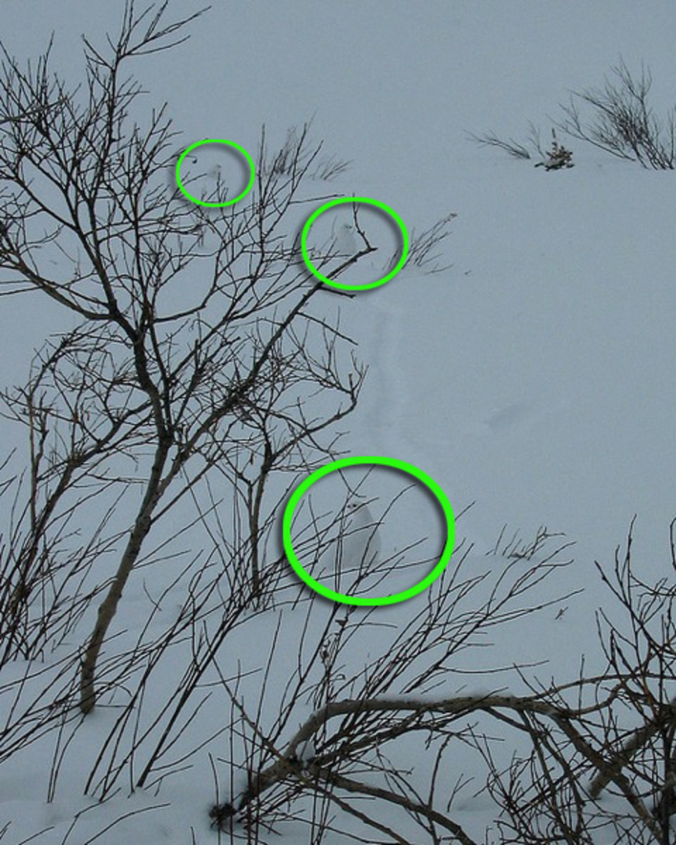 hint3