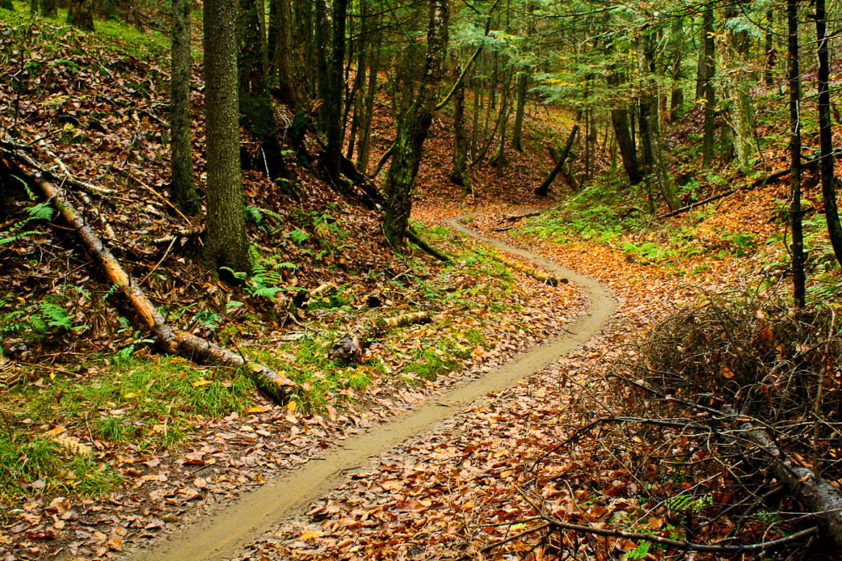 Kingdom Trails Burke Vermont