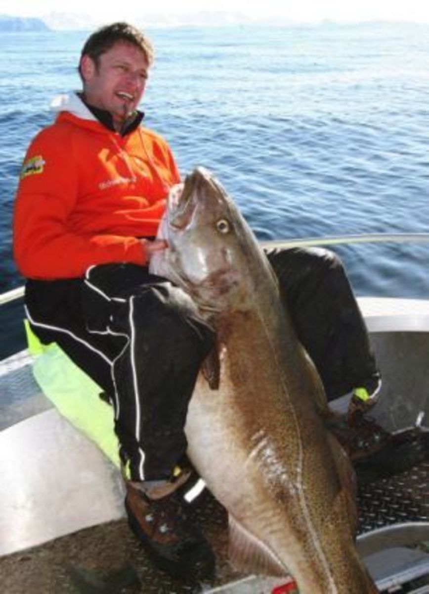 cod vertical