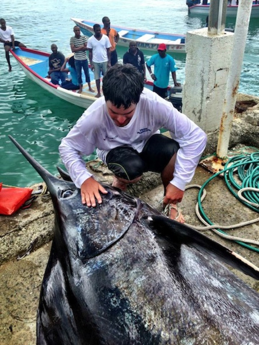 Marlin