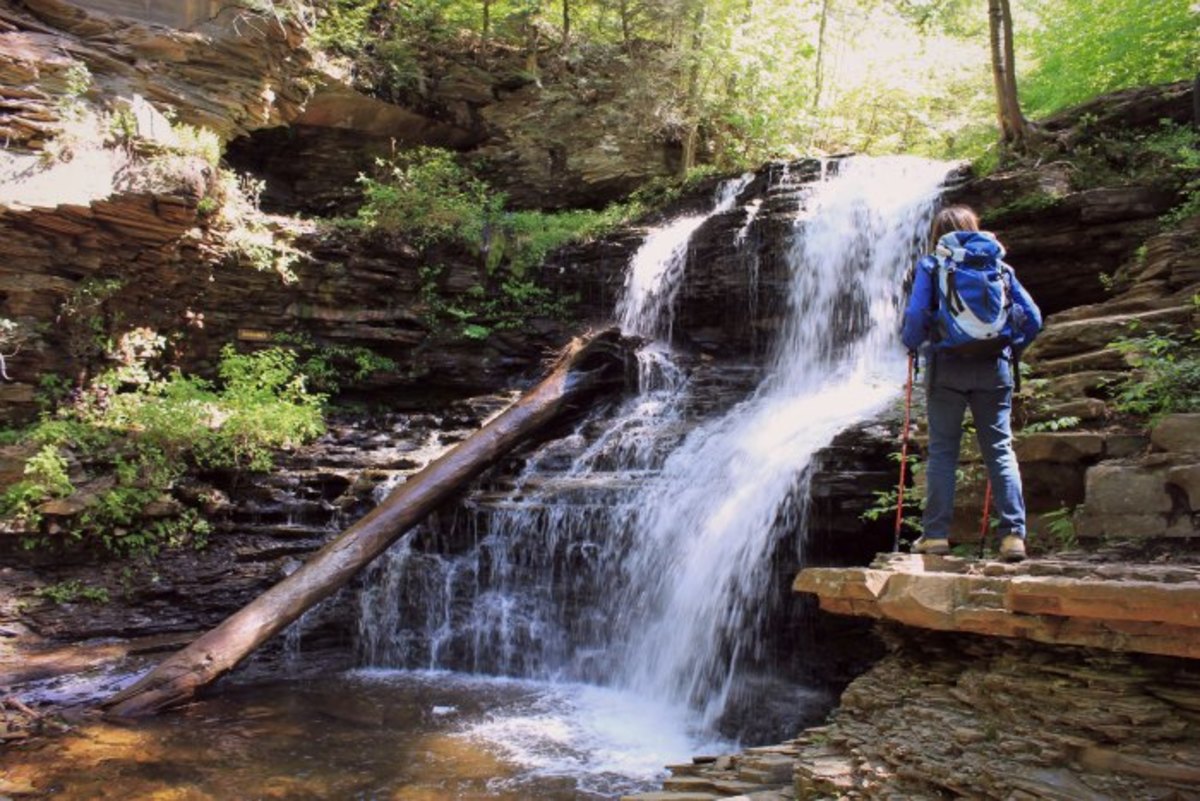 Ricketts Glen trail