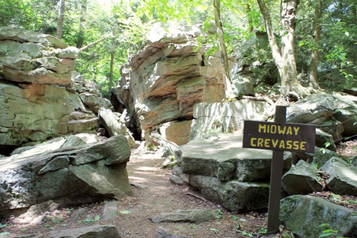 Ricketts Glen