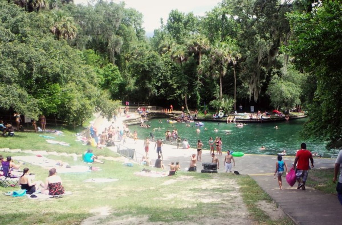 The clear, turquoise water of Wekiwa springs is refreshing after a humid kayak trip. Photo by Johnie Gall