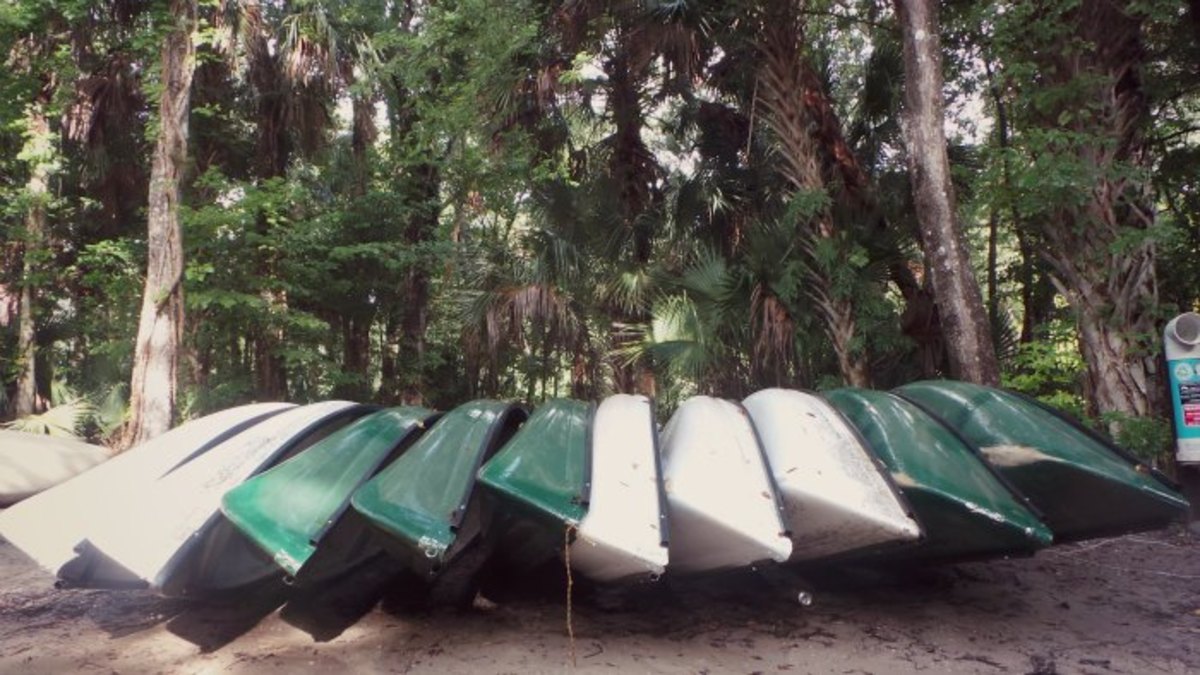Wekiwa Springs