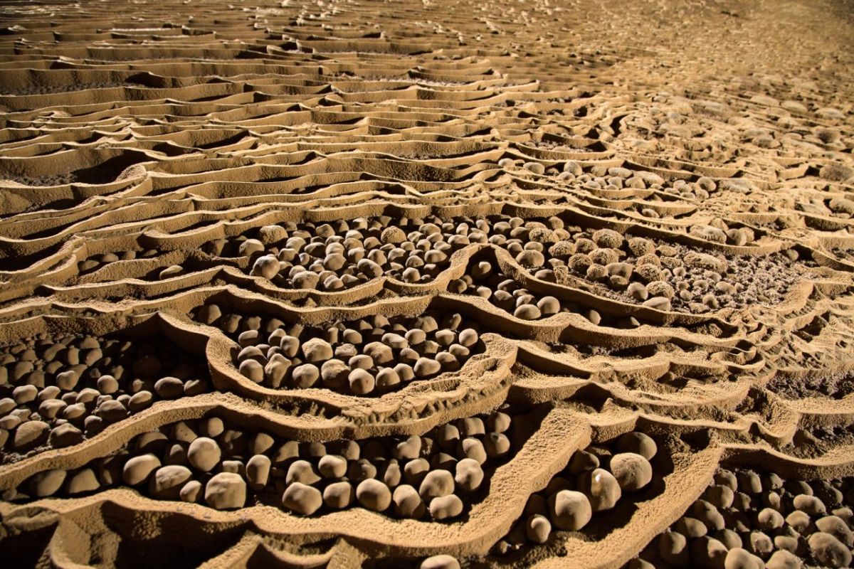 Cave pearls; photo by Ryan Deboodt Cave pearls; photo by Ryan Deboodt