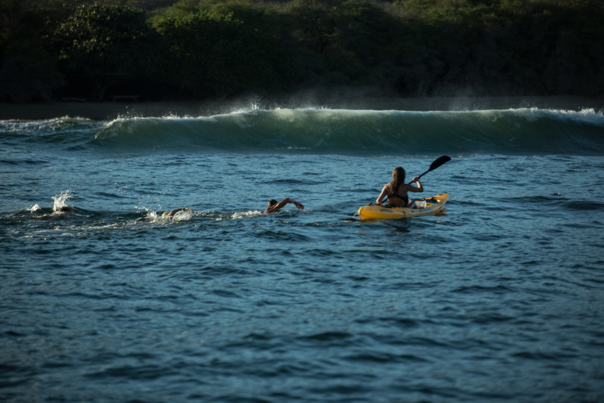 swimmingininchesofwaterabovecorral