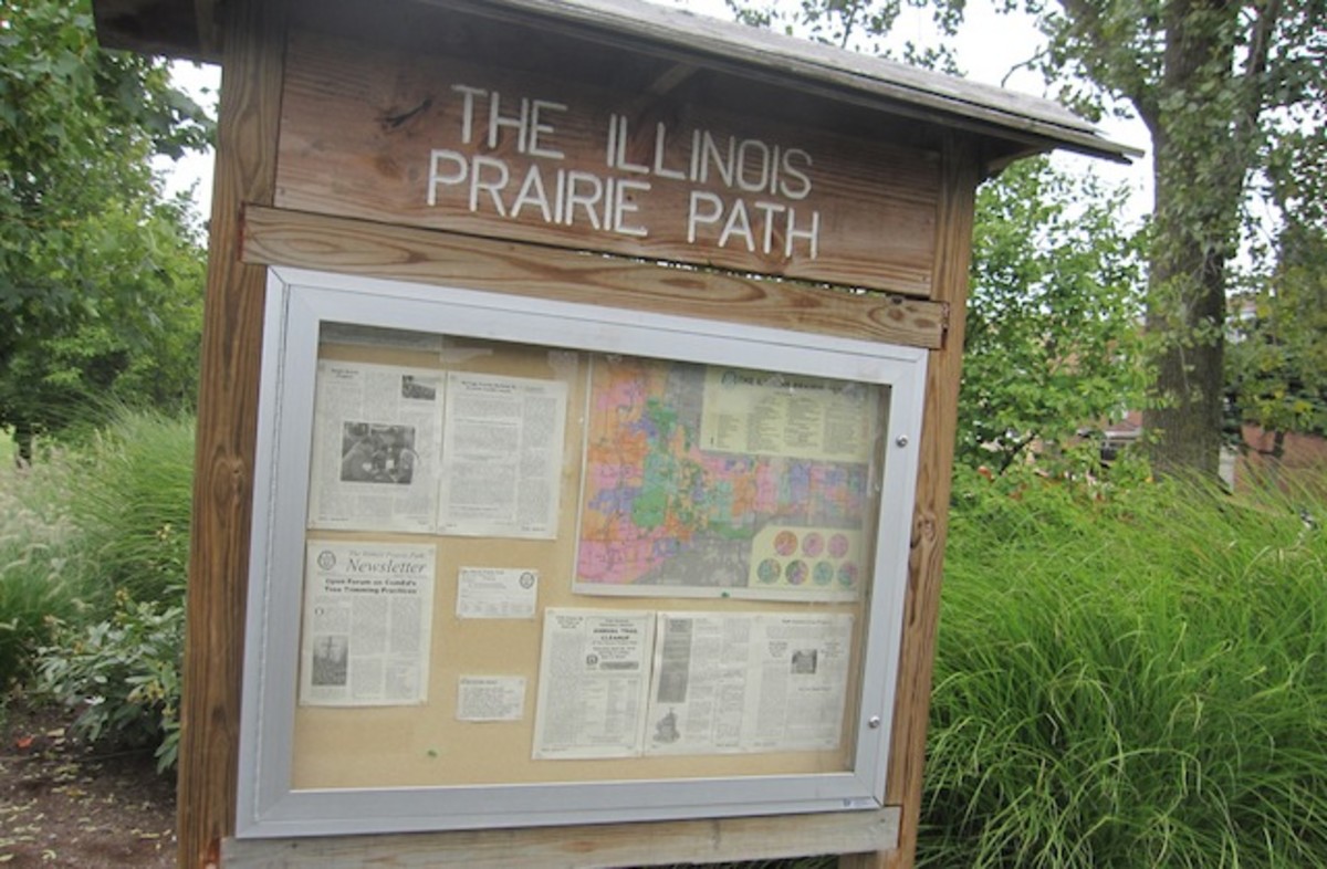 Illinois Prairie Path in Chicago. Photo: Dan O'Neill Flickr